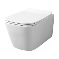 Унітаз підвісний ArtCeram A16 безобідковий, із сидінням, білий матовий (ASV003 05;00_ASA001 05; 71) - Теплоцентр
