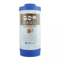 20674_kartridzh-raifil-udf-10-bp-iron