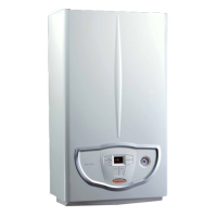 Котел газовий Immergas Mini Nike X 24 3 E (100426732) - Теплоцентр