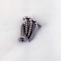 Самонарізи для колб Raifil Slim 10" (SR-100 screws) - Теплоцентр