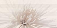 Плитка декор AVANGARDE WHITE INSERTO FLOWER 29,7X60 OPOCZNO
