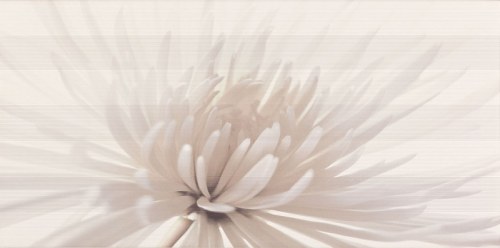Плитка декор AVANGARDE WHITE INSERTO FLOWER 29,7X60 OPOCZNO