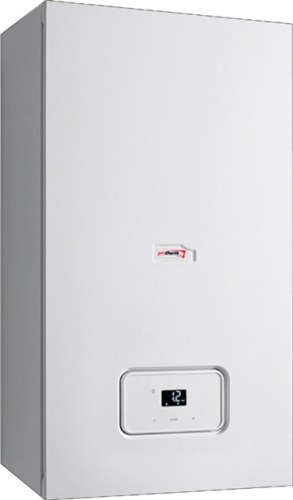 gazovij-kotel-protherm-ris-lynx-25-mko.jpg