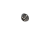 zn01.png